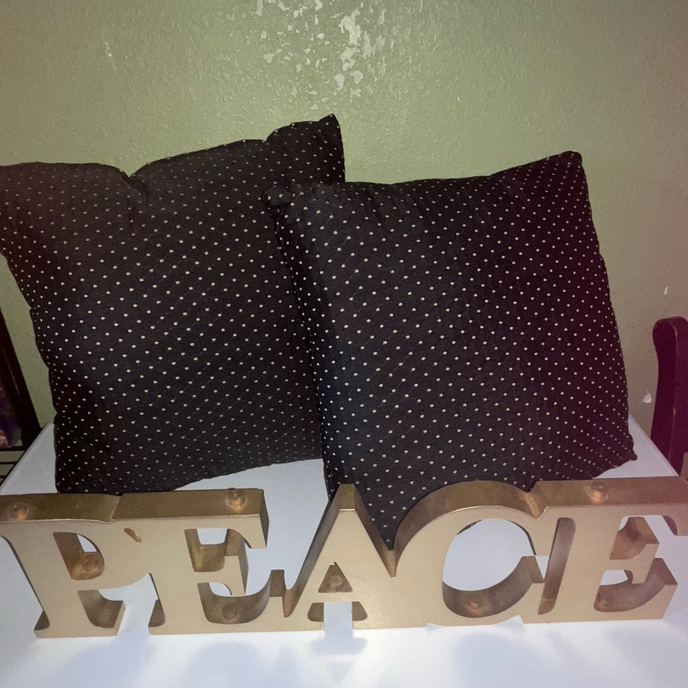 B.Step throw pillows, sofa or bed decorative pillows, brand new!